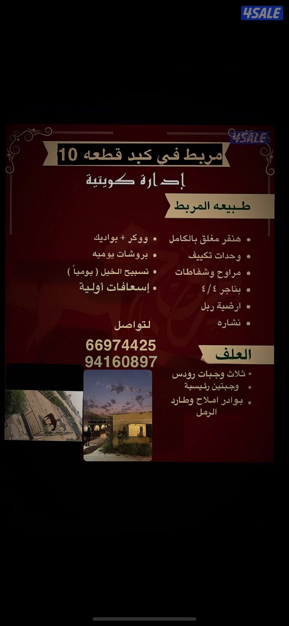 مربط في كبد قطعه 100