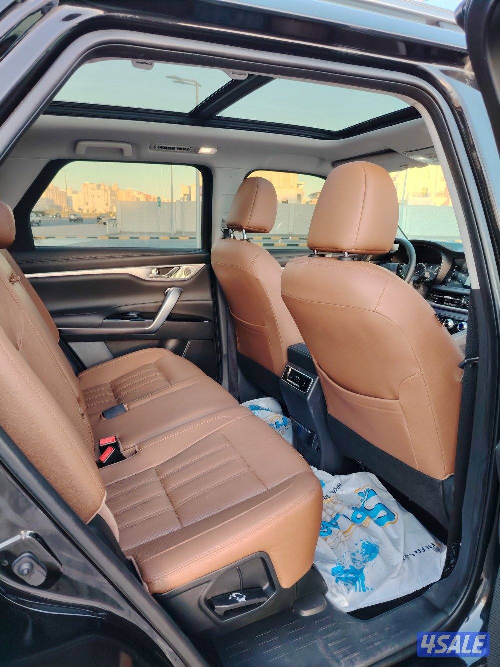 شانجانGS95 20219