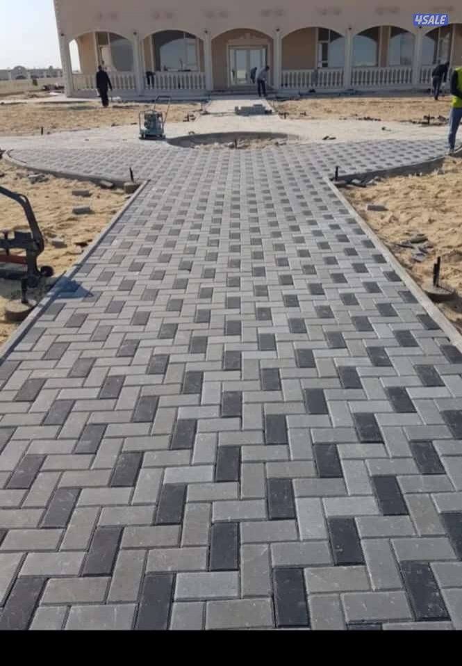 معلم بلاط متداخل وكربستون وكاشي وصب مزييك ارضيات وسعر مناسب12