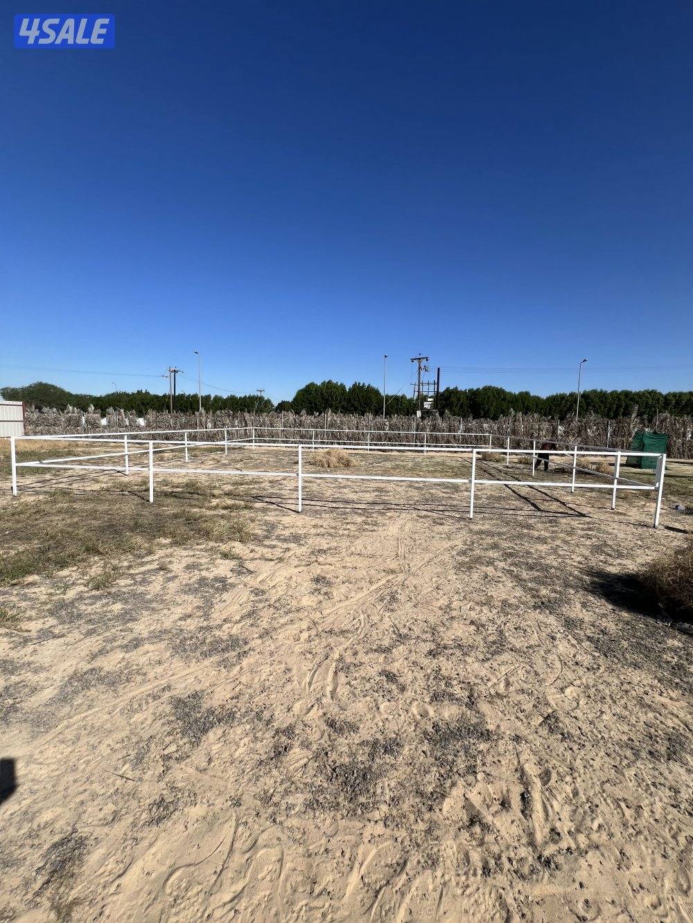 بناجر ابو علي فك تركيب لدينه بواديك الحجز12