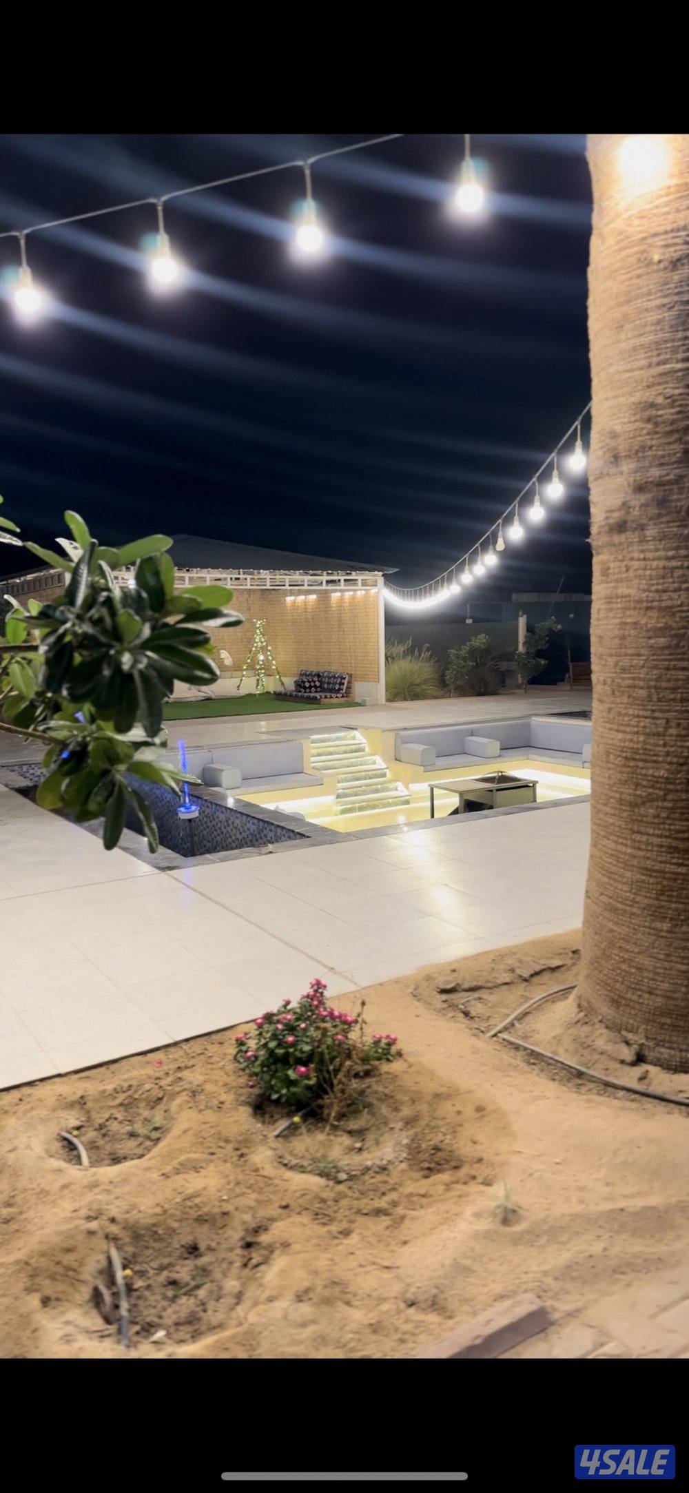 مزرعه كوينزلاند العبدلي4