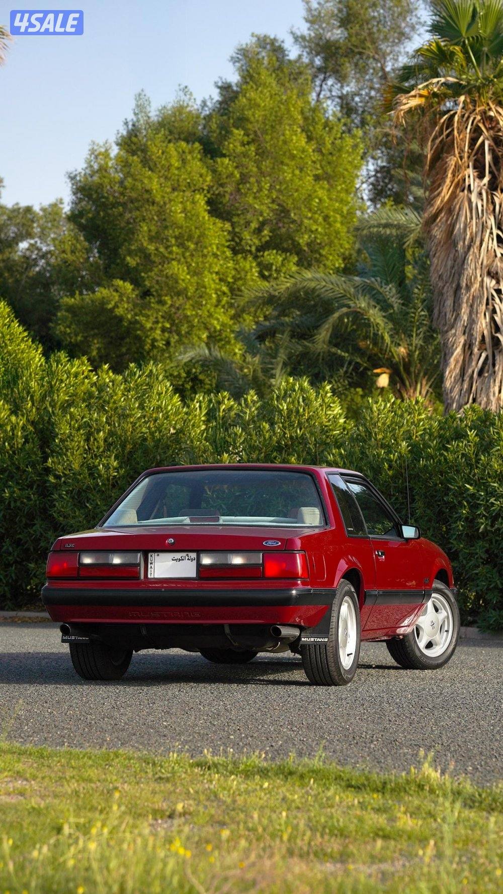 للجادين فقط0