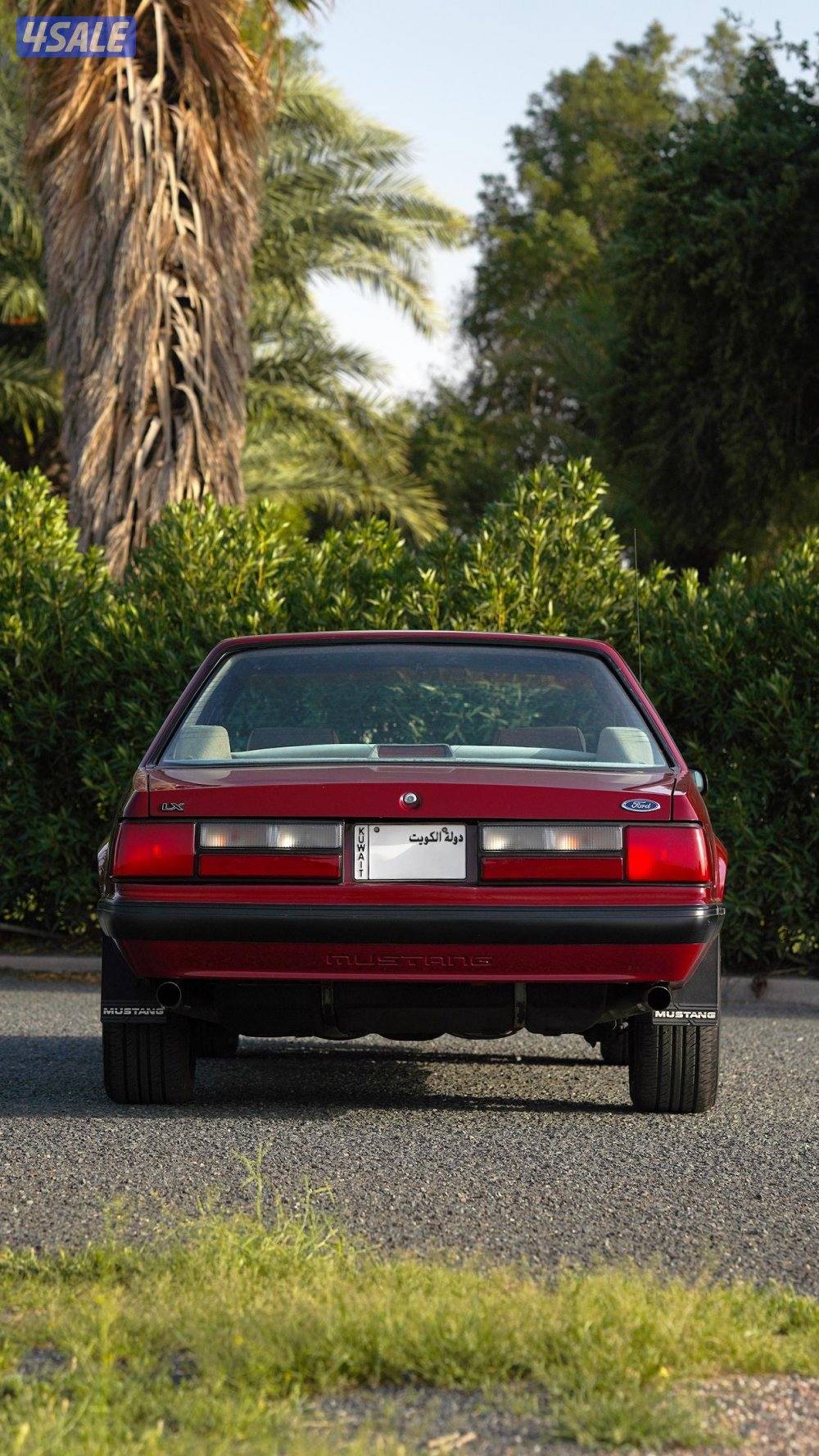 للجادين فقط5