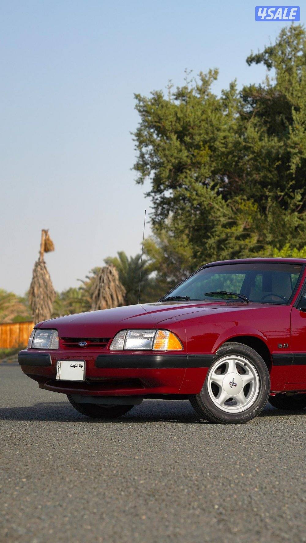 للجادين فقط7