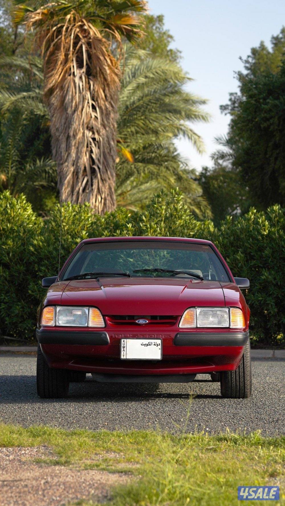 للجادين فقط8