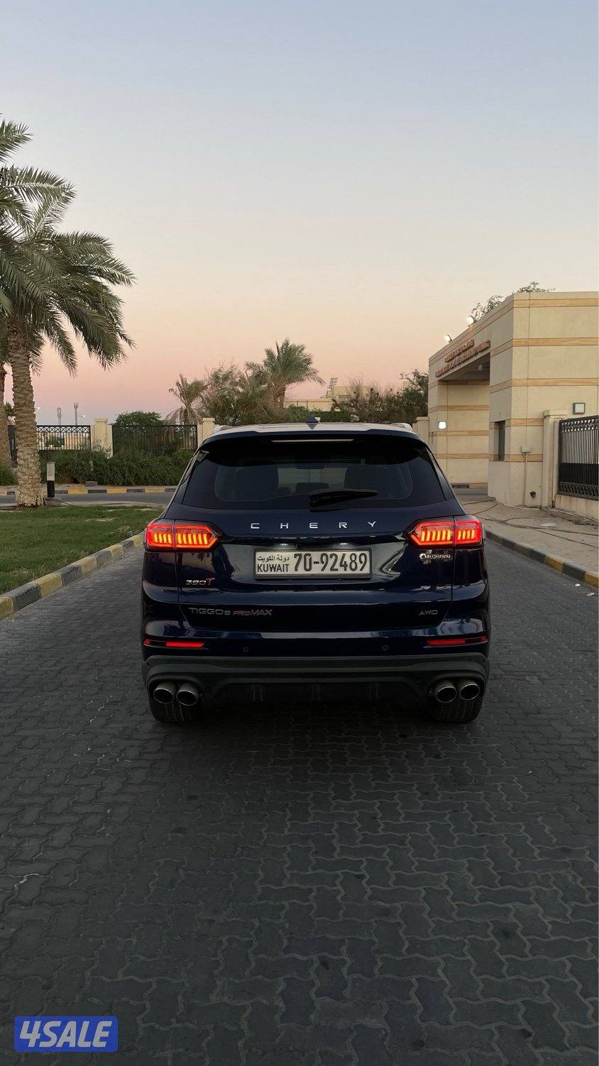 للمعاينة العارضية الحرفية5