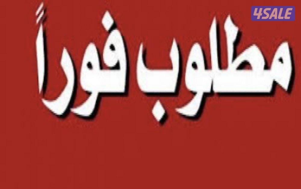 مطلوب دور أرضي بالمنقف1