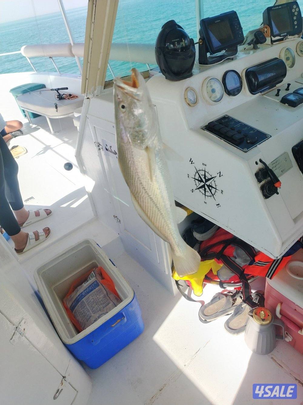 طراد ايجار رحلات بحريه طراد ايجار4