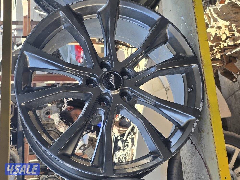 سكراب السالمي5