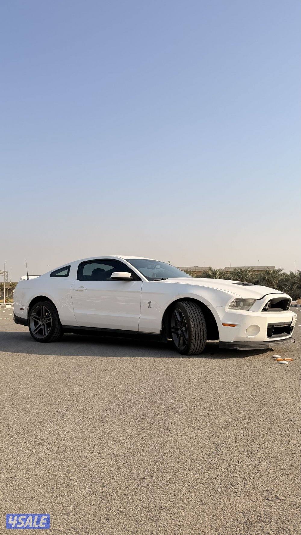 موستنق سبشل كاليفورنيا اصلي موديل ٢٠١١1