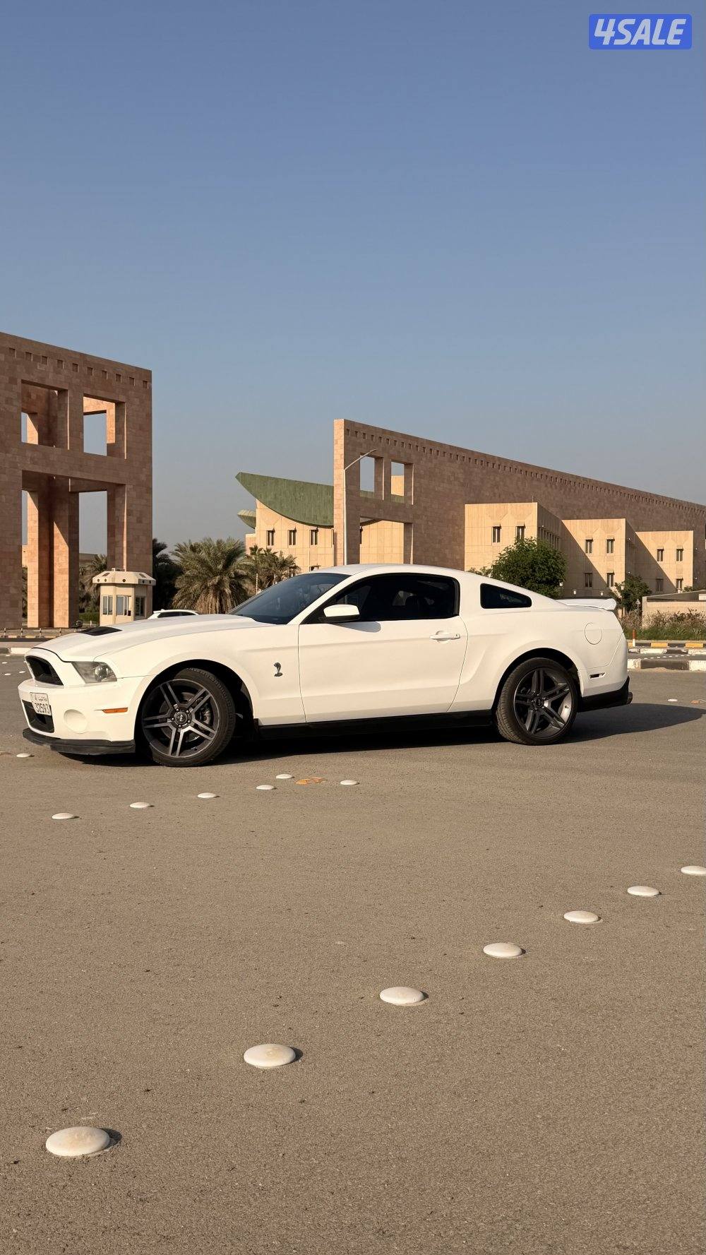 موستنق سبشل كاليفورنيا اصلي موديل ٢٠١١2