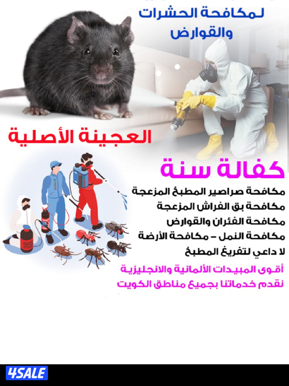 رش حشرات لنمل والصراصير كفالة سنه مع العجينه الاصليه والمبيدات الالمان2