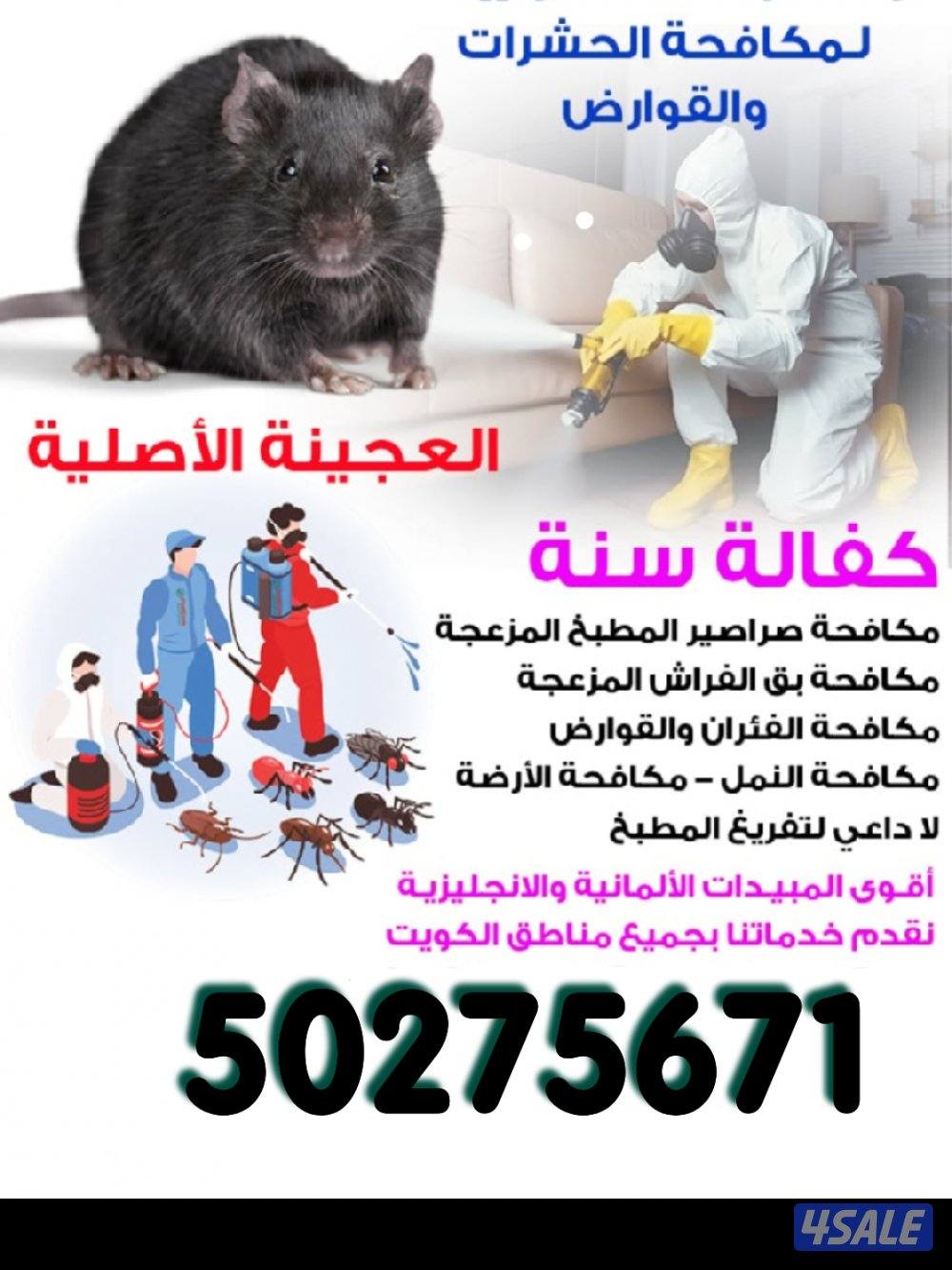 رش حشرات لنمل والصراصير كفالة سنه مع العجينه الاصليه والمبيدات الالمان3