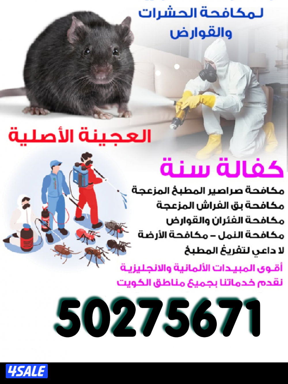 رش حشرات لنمل والصراصير كفالة سنه مع العجينه الاصليه والمبيدات الالمان4