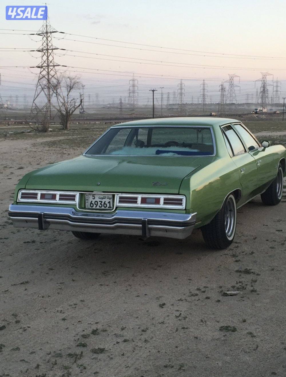 للبيع شفر 19762