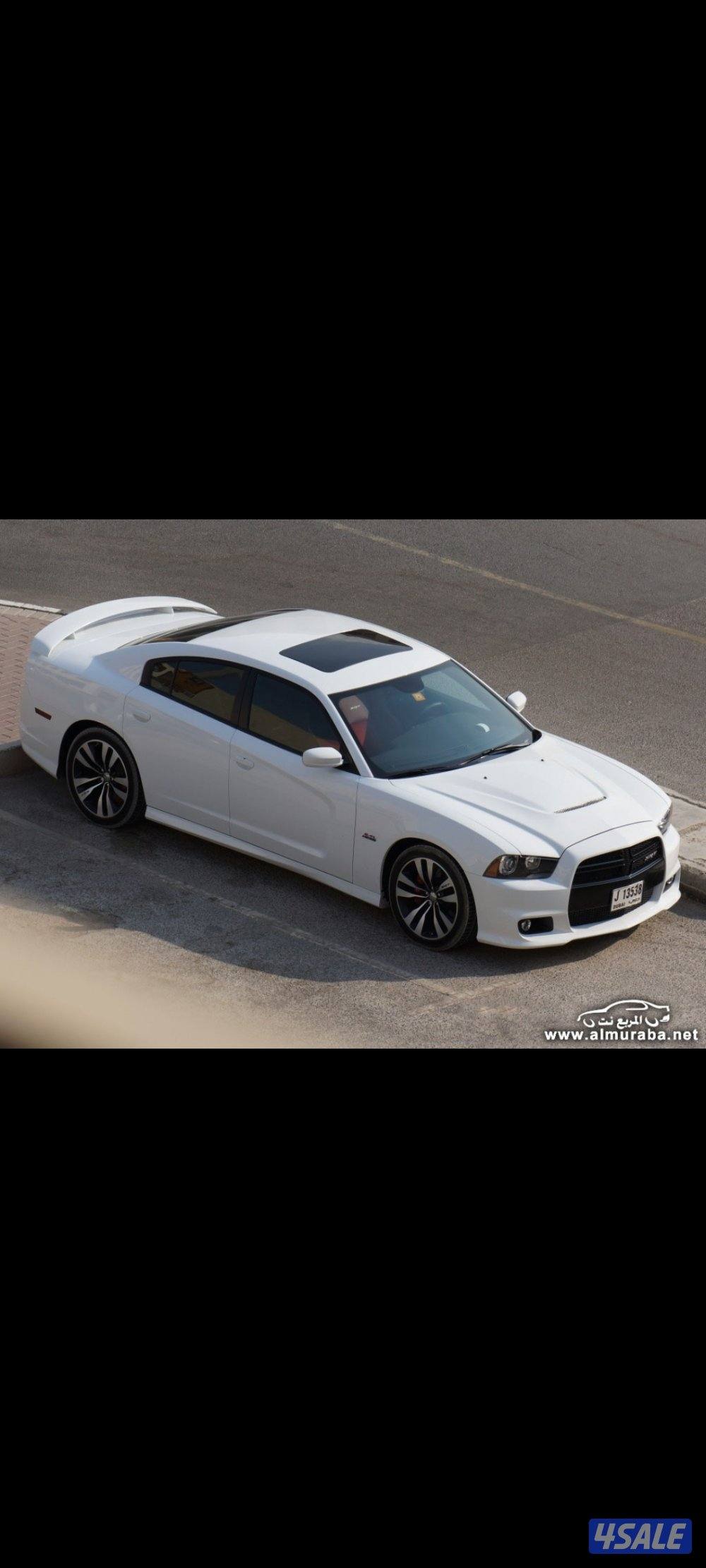 زهور الجزيرة1