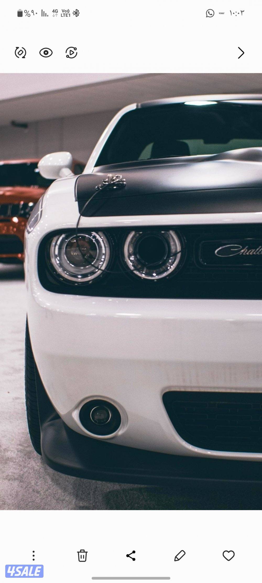 زهور الجزيرة2