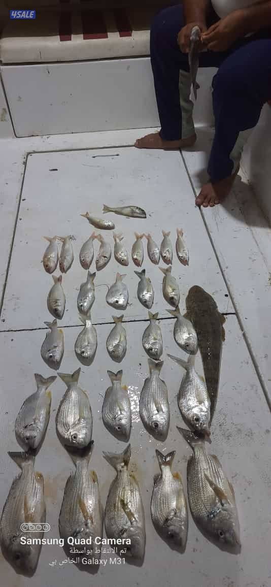 للإيجار رحلات حداق وتوصيل فيلكا10