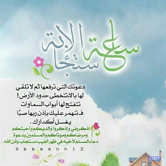 للايجار شقه با الفنيطيس ٣غرف ٣حمام وصاله ومطبخ غرفة0