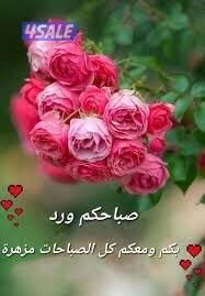 للايجار شقه بصباح الاحمد ٣غرف صاله ٣حمام مطبخ غ خ سيراميك سنترال ٢مصفط0