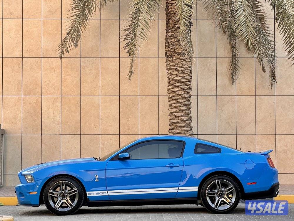 شيلبي / ٢٠١١ / بحاله نادره1