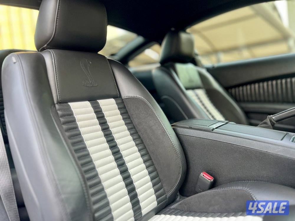 شيلبي / ٢٠١١ / بحاله نادره10