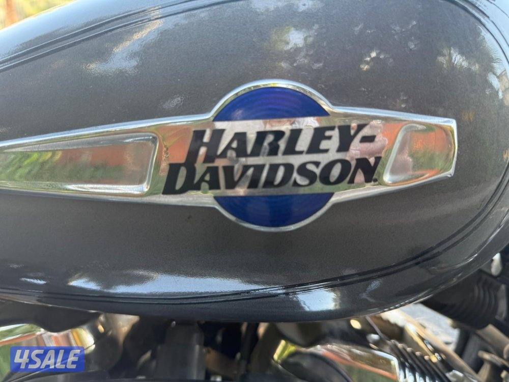 للبيع هارلي custom حجم 12001