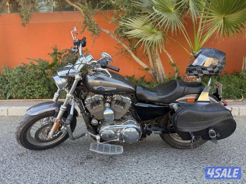 للبيع هارلي custom حجم 12005