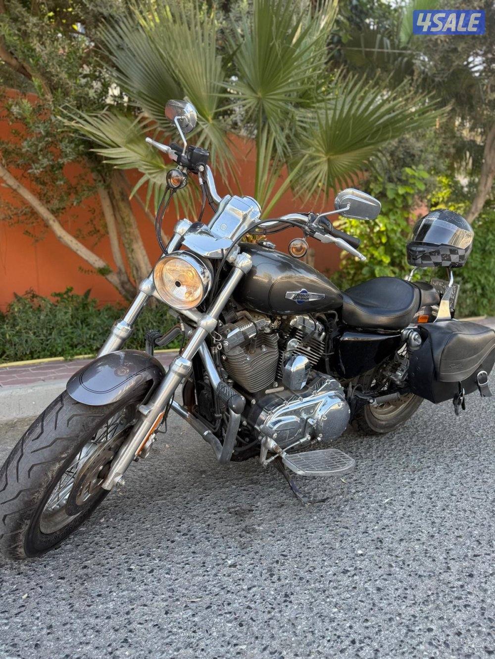 للبيع هارلي custom حجم 12008