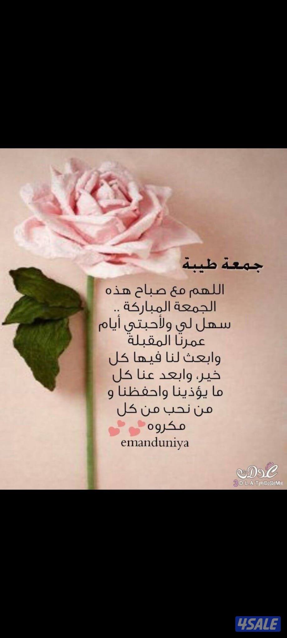 للايجار شقه في ابو فطيره ارضيه ٣غرف مع غ للخادمه وصاله ومطبخ0