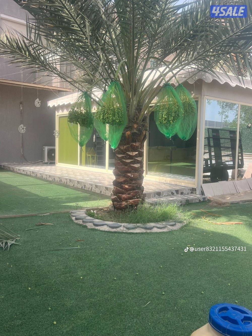 تنسيق حدائق3