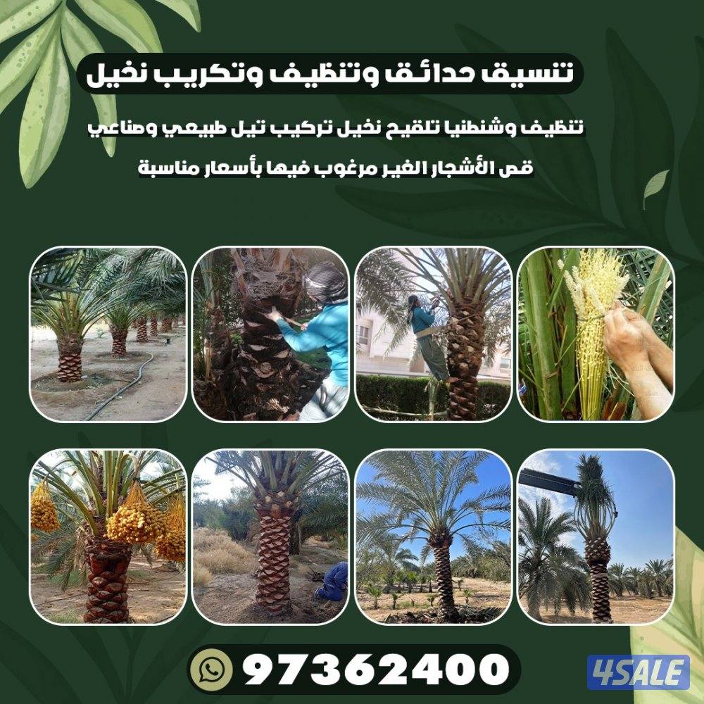 تنسيق حدائق5