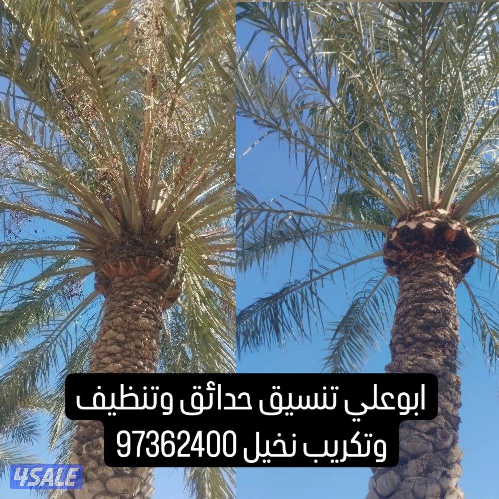 تنسيق حدائق0