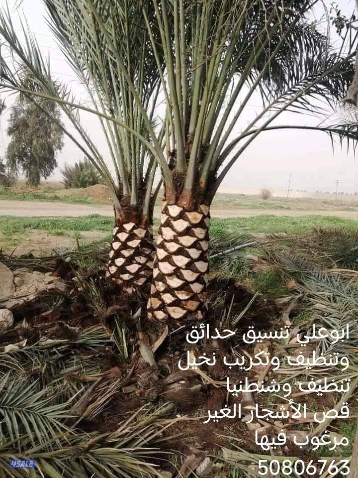 تنسيق حدائق9