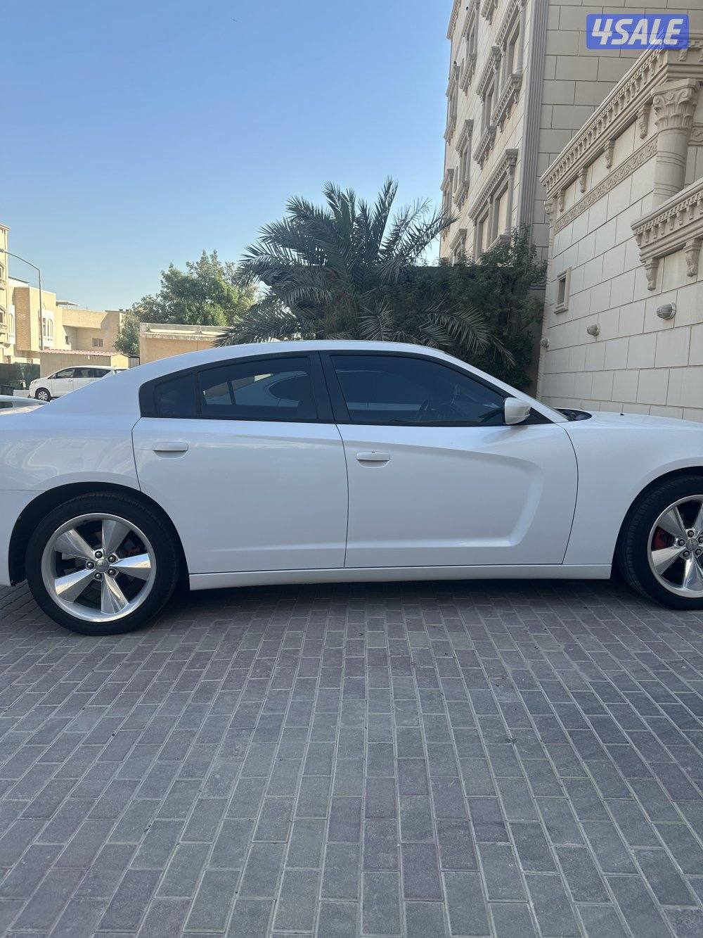 علي صباح السالم6