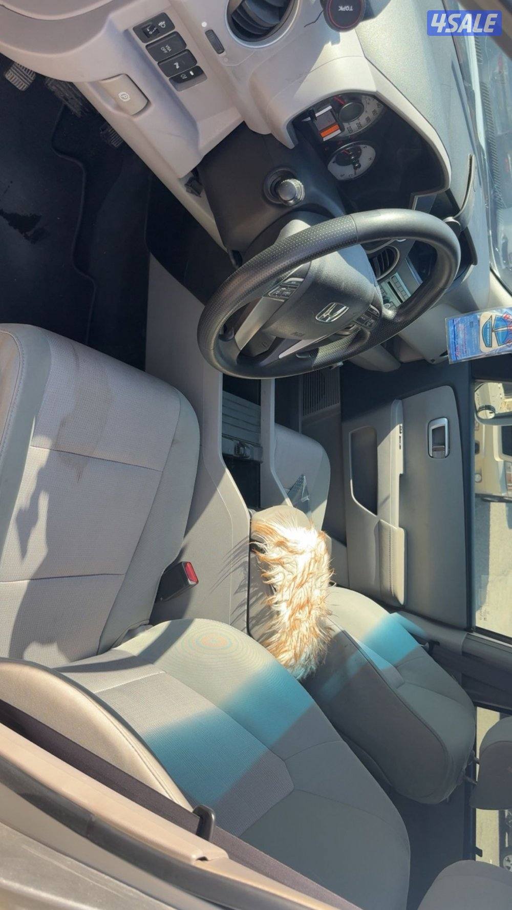 اللبيع ٣٠٠٩5