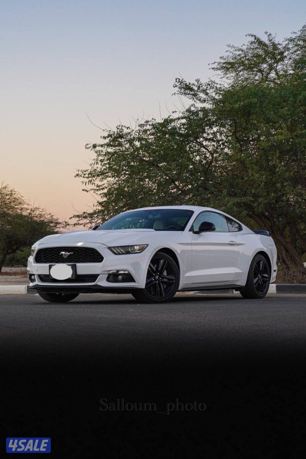 موستنج 2015 EcoBoost0