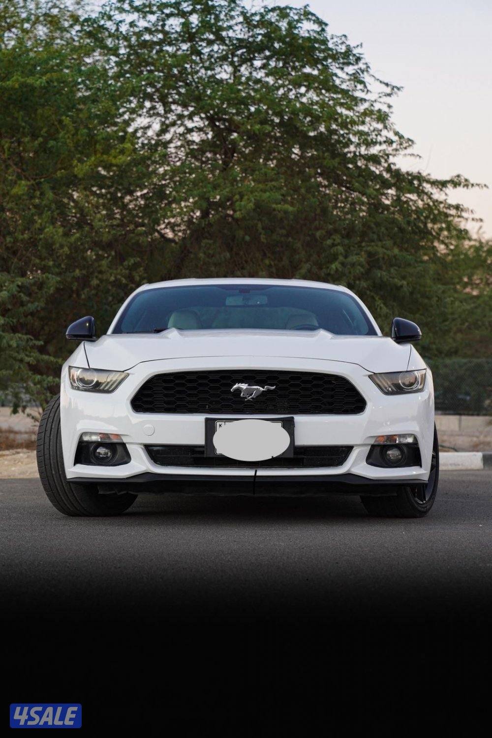 موستنج 2015 EcoBoost1