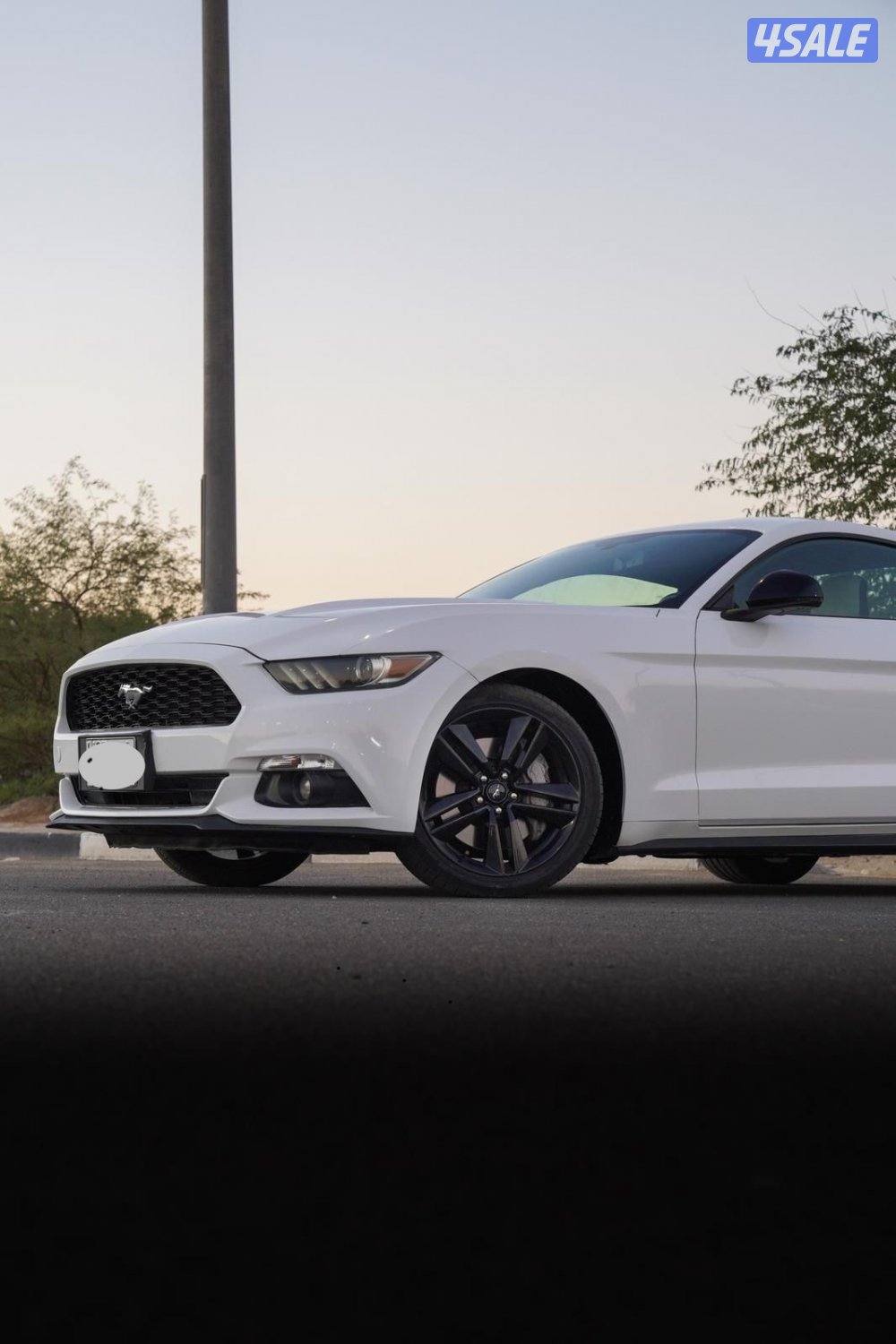 موستنج 2015 EcoBoost2