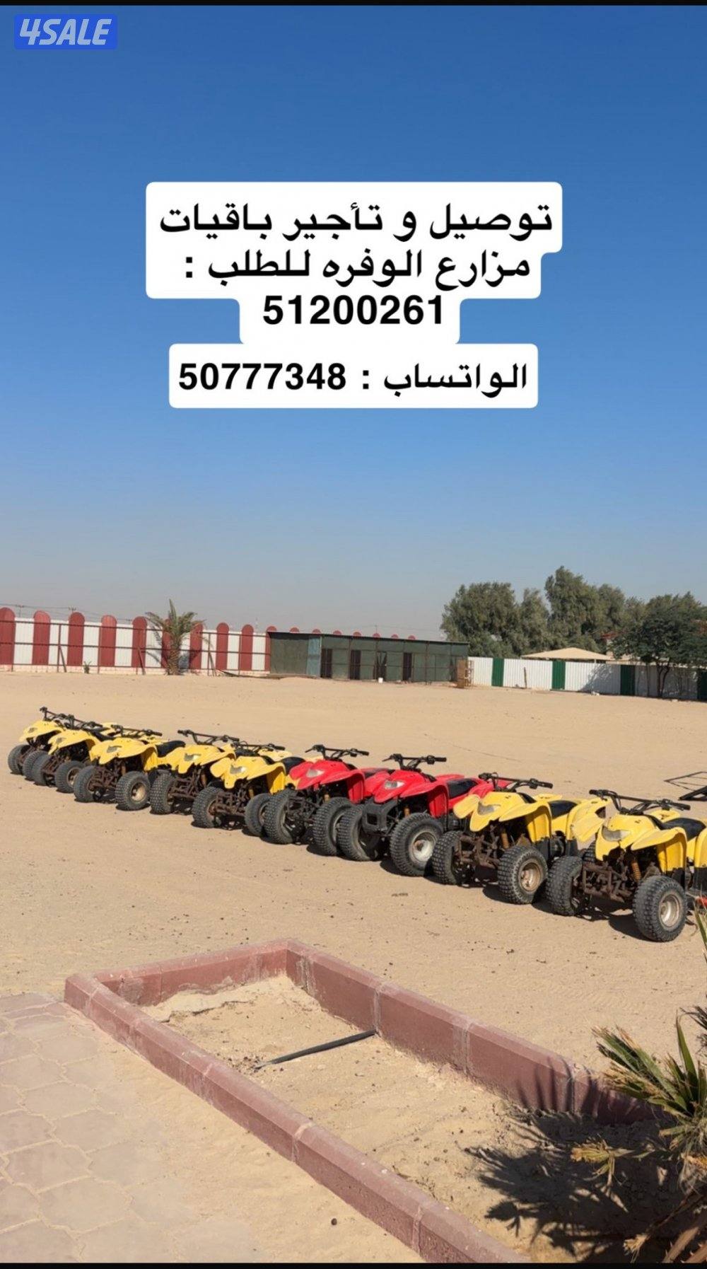 تاجير بقيات0