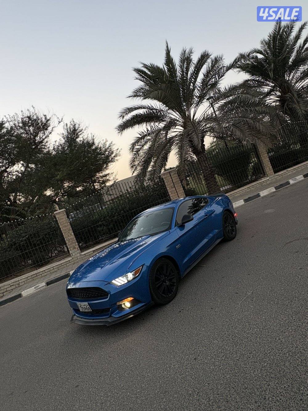 بيعة سريعة1