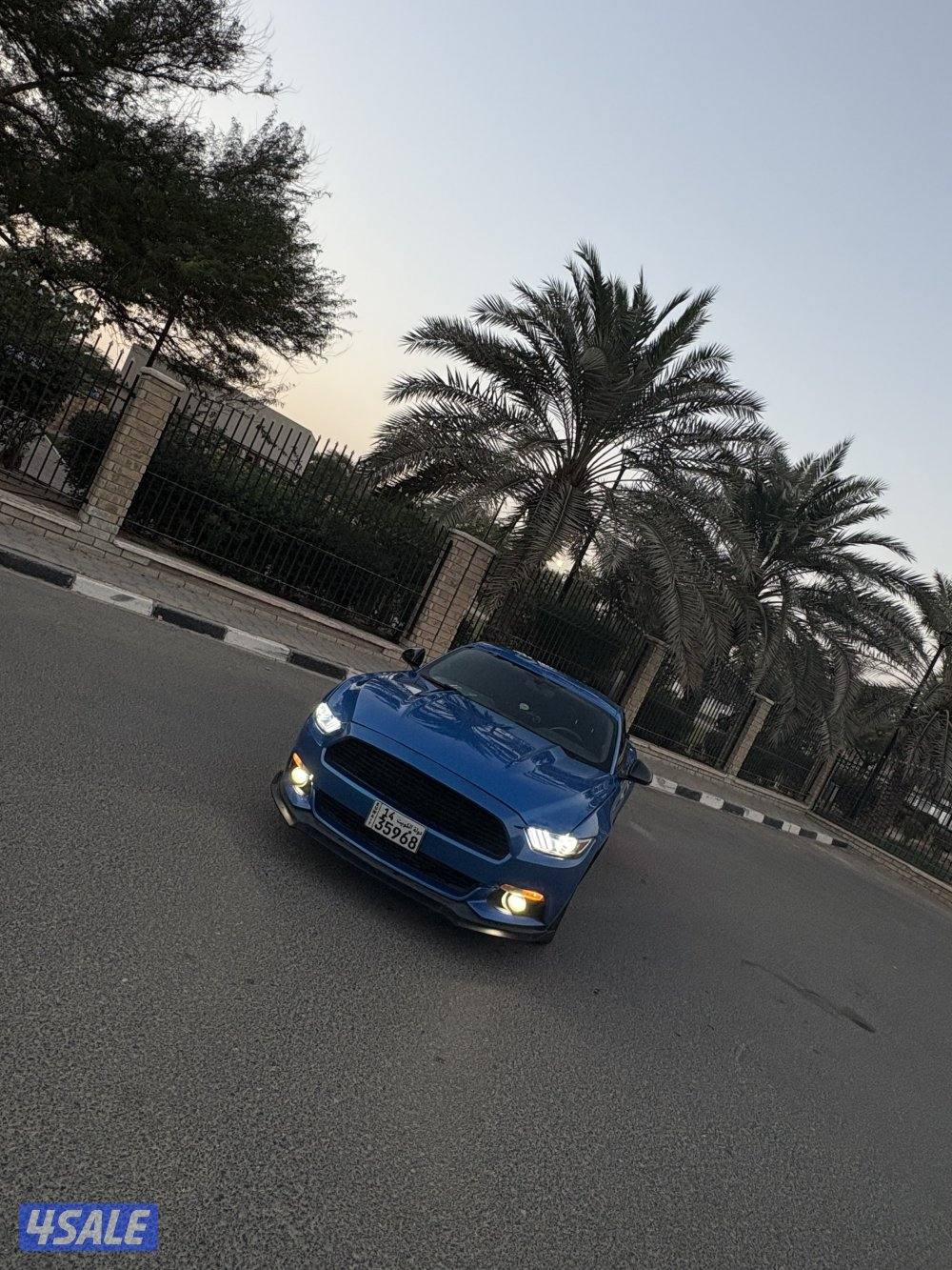 بيعة سريعة2