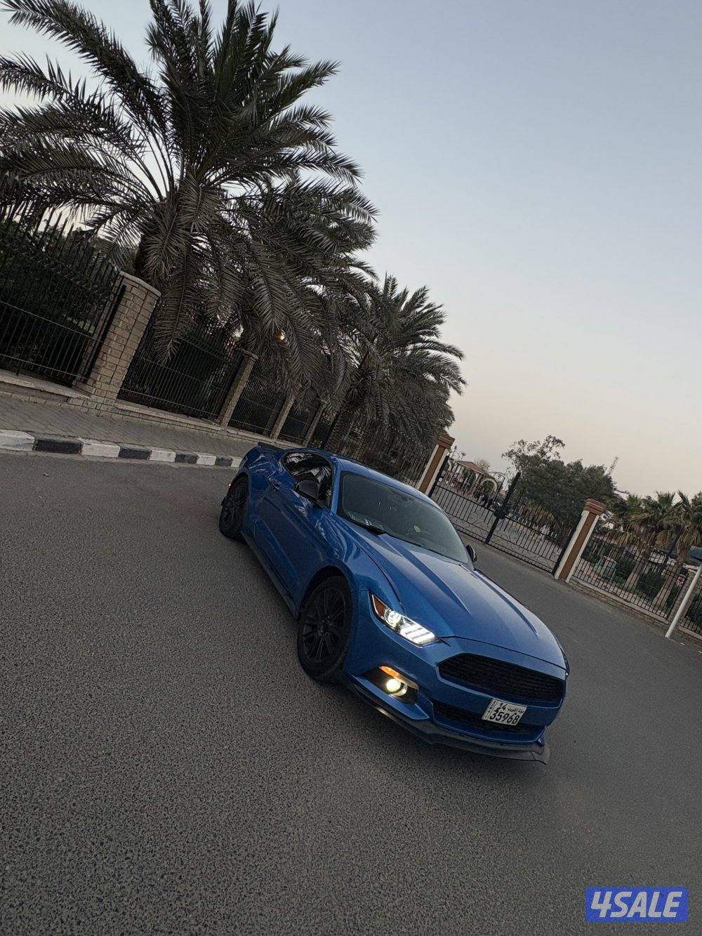 بيعة سريعة3