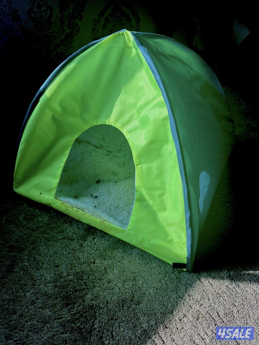 للبيع براري دوق من النوادر ألييف جدا مع الاطفال والبيت4