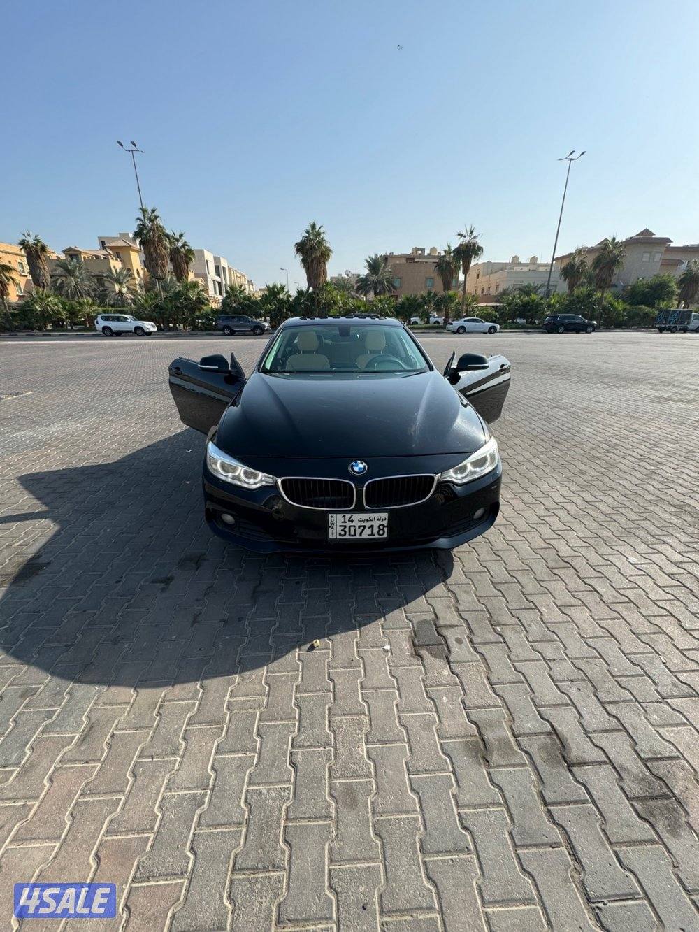 BMW 420i 20161