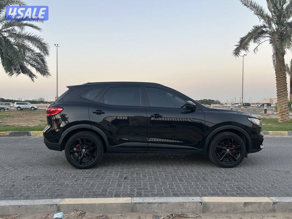 للمعاينة العارضية الصناعية0