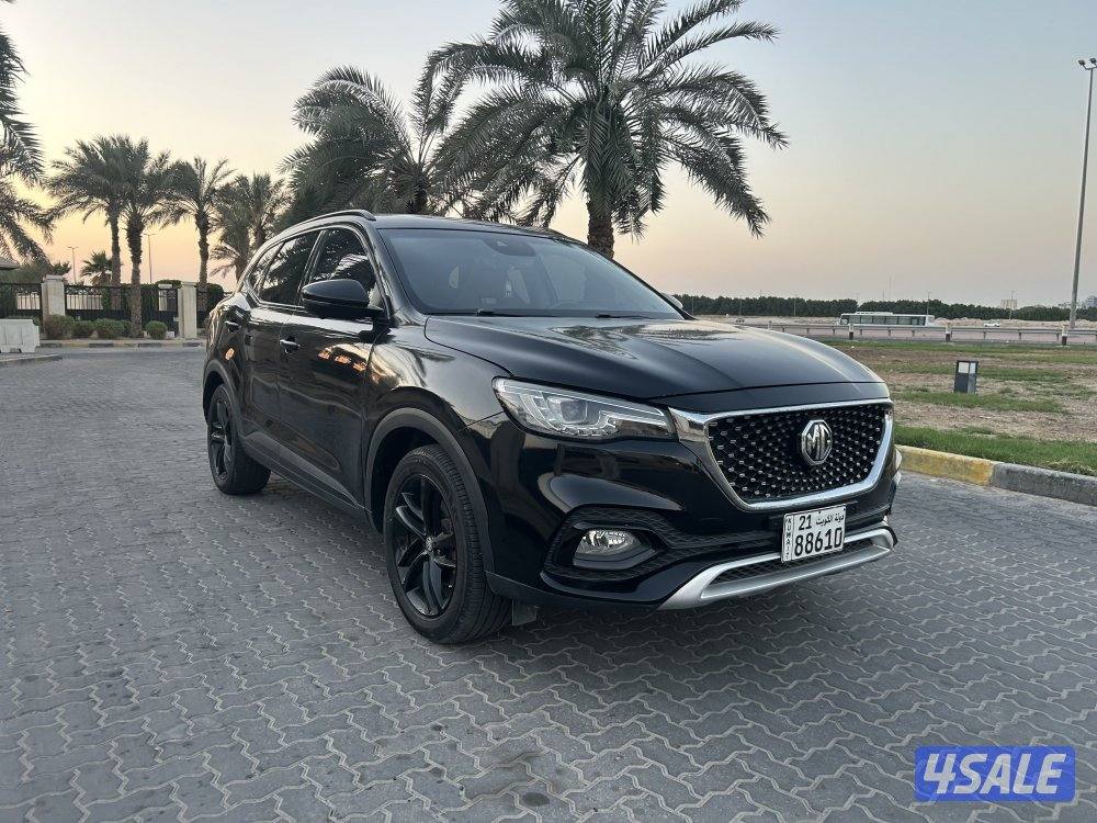 للمعاينة العارضية الصناعية4