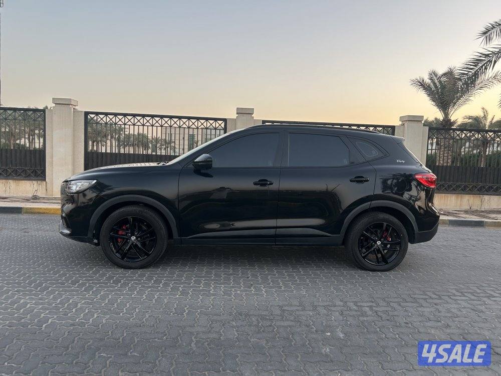 للمعاينة العارضية الصناعية5