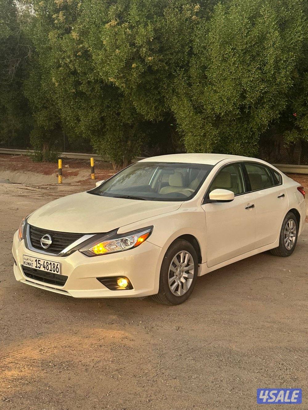 للبيع التيما 20177