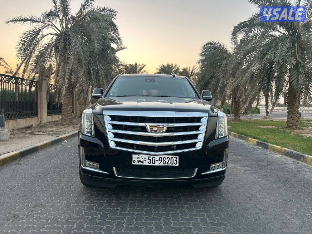 المعاينة العارضية الصناعيه0